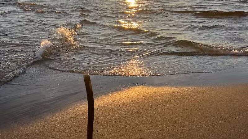 Duck Lake State Park - Whitehall,