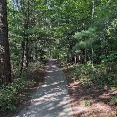 Duck Lake State Park - Whitehall,