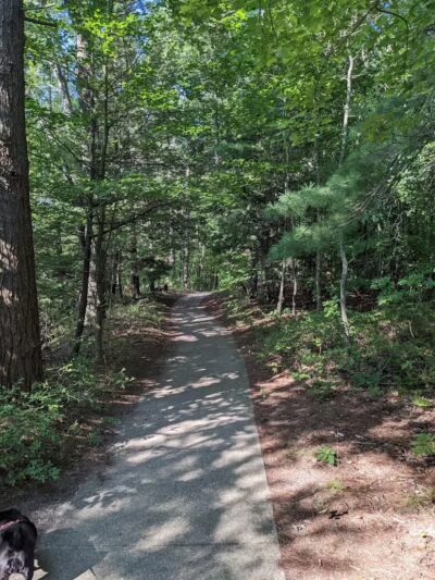 Duck Lake State Park - Whitehall,