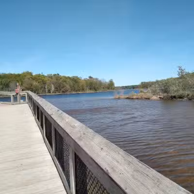 Duck Lake State Park - Whitehall,