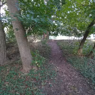 Lions Park - Whitehall,
