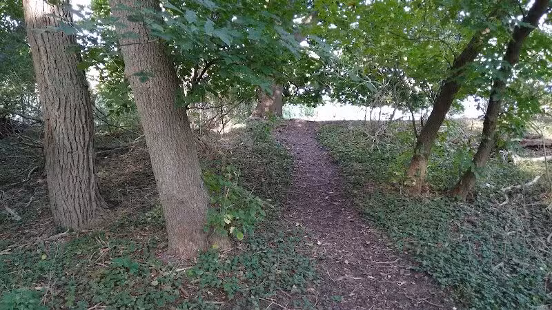 Lions Park - Whitehall,