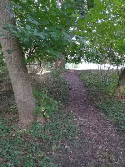 Lions Park - Whitehall,