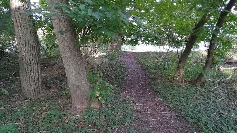 Lions Park - Whitehall,