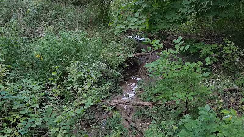 Lions Park - Whitehall,