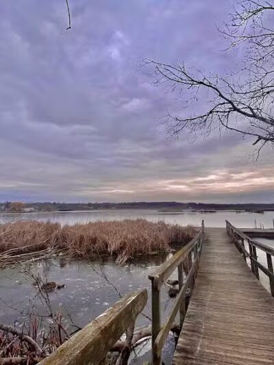 Lions Park - Whitehall,