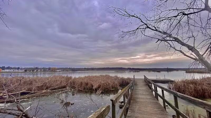 Lions Park - Whitehall,