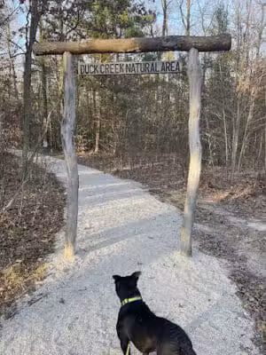 Duck Creek Natural Area - Whitehall,