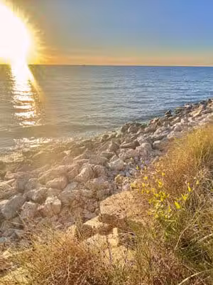 Duck Lake Channel - Whitehall,