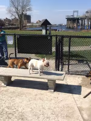 Little Bay Dog Run - Whitestone, NY
