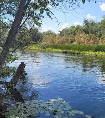 Manly W. Bennett Park - Whitmore Lake,