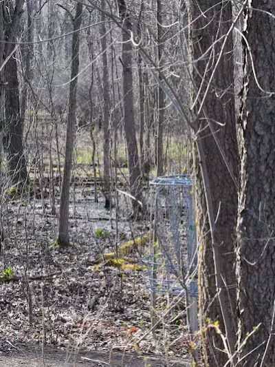 Manly W. Bennett Park - Whitmore Lake,