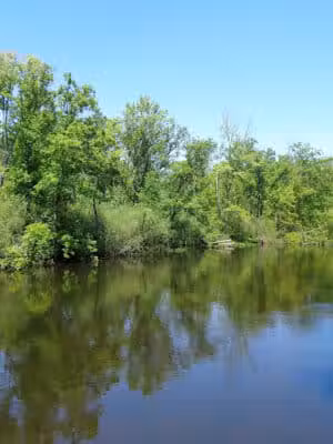 Village Trailhead Parking - Hamburg - Whitmore Lake,