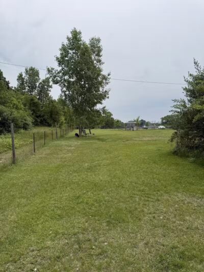 Northfield Township Dog Park - Whitmore Lake, MI