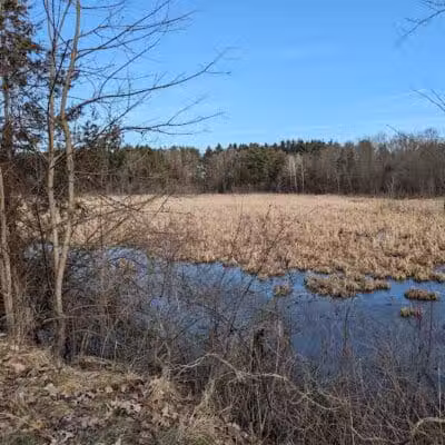 Village Trailhead Parking - Hamburg - Whitmore Lake,