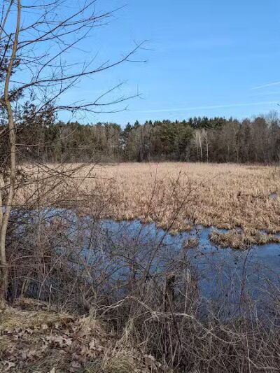 Village Trailhead Parking - Hamburg - Whitmore Lake,