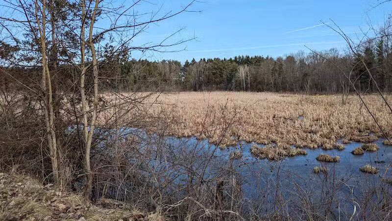Village Trailhead Parking - Hamburg - Whitmore Lake,