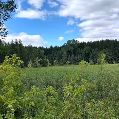 Village Trailhead Parking - Hamburg - Whitmore Lake,