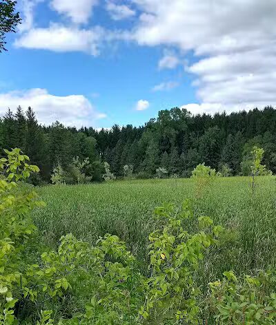 Village Trailhead Parking - Hamburg - Whitmore Lake,