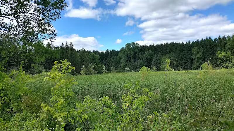 Village Trailhead Parking - Hamburg - Whitmore Lake,