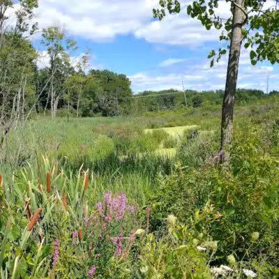 Village Trailhead Parking - Hamburg - Whitmore Lake,