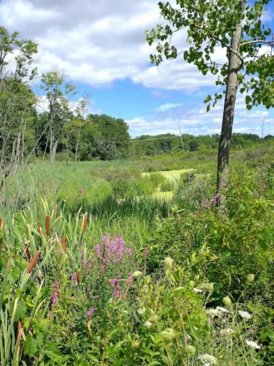 Village Trailhead Parking - Hamburg - Whitmore Lake,