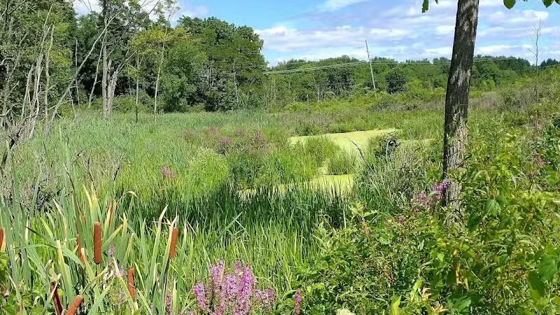 Village Trailhead Parking - Hamburg - Whitmore Lake,