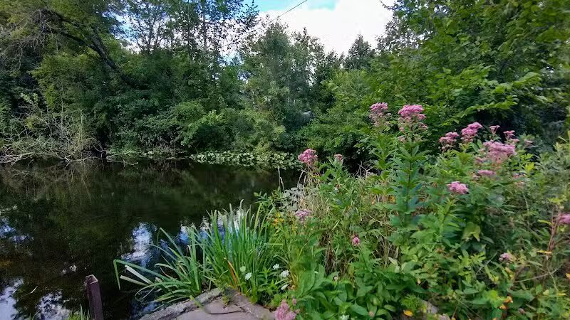 Village Trailhead Parking - Hamburg - Whitmore Lake,