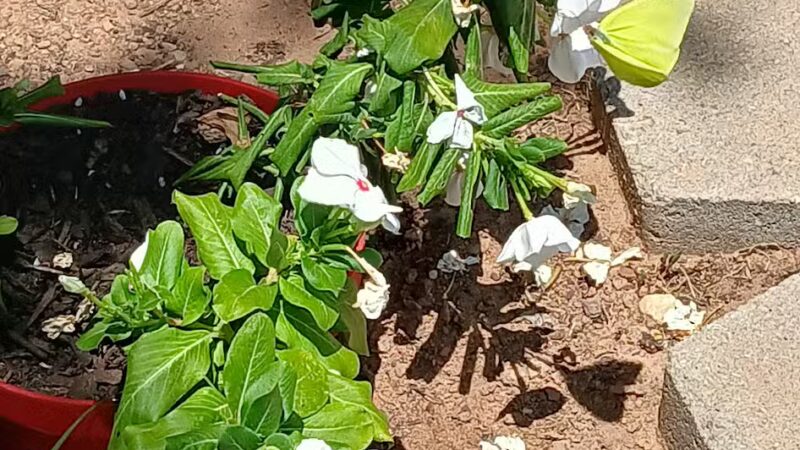 Lake Whitney State Park - Whitney, TX