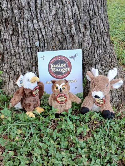 Lake Whitney State Park - Whitney, TX