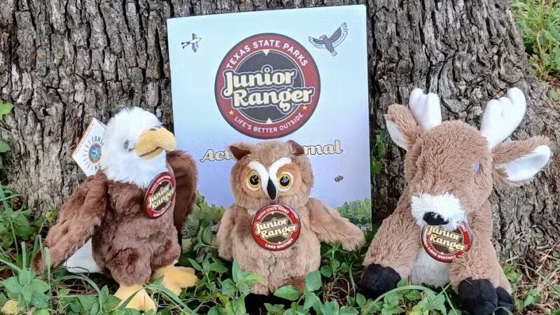 Lake Whitney State Park - Whitney, TX