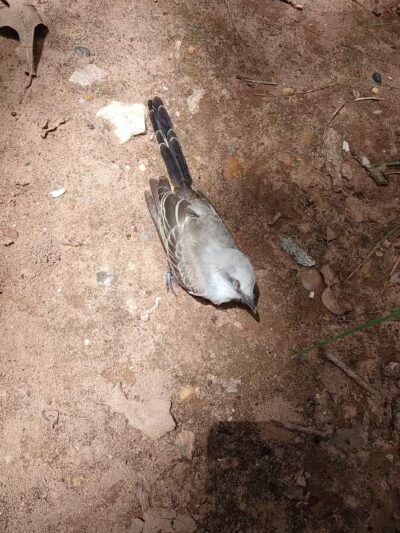 Lake Whitney State Park - Whitney, TX