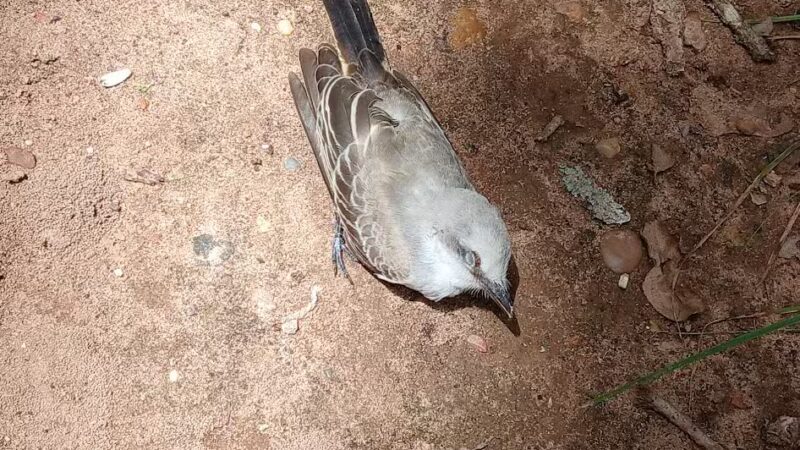 Lake Whitney State Park - Whitney, TX