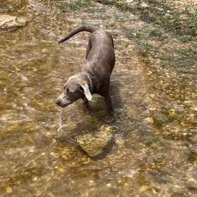 Lofers Bend Day Use Park - Whitney, TX