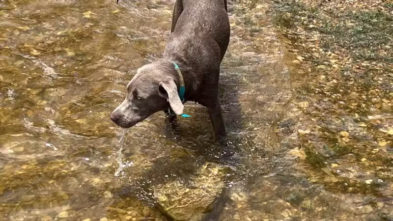 Lofers Bend Day Use Park - Whitney, TX