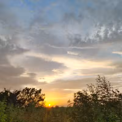 McCown Valley Park - Whitney, TX