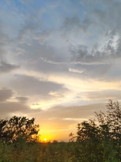 McCown Valley Park - Whitney, TX