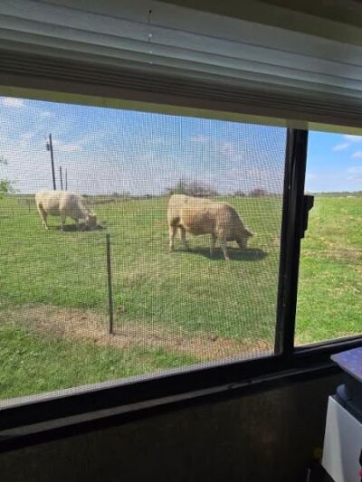 933 RV Park - Whitney, TX