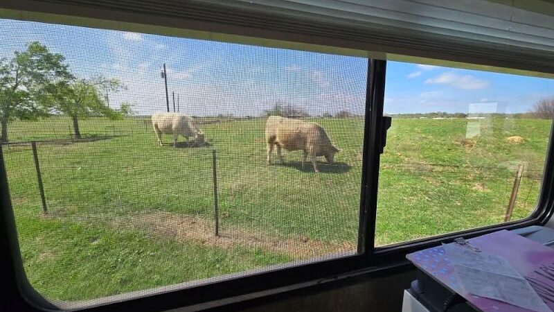 933 RV Park - Whitney, TX