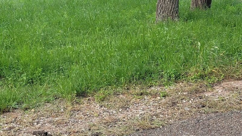 Cedron Creek Park - Whitney, TX