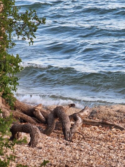 Lake Whitney State Park - Whitney, TX