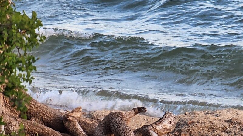 Lake Whitney State Park - Whitney, TX