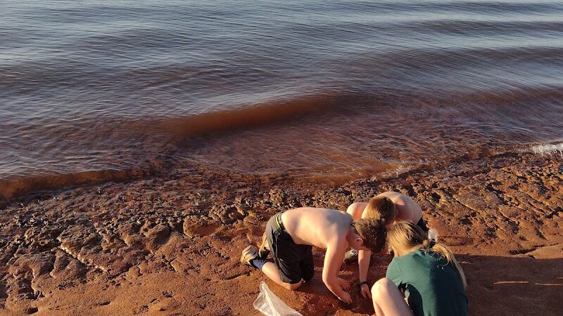McCown Valley Park - Whitney, TX