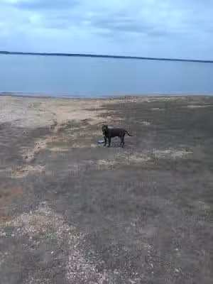 McCown Valley Park - Whitney, TX