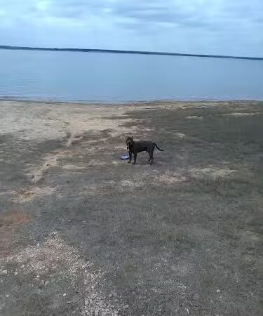 McCown Valley Park - Whitney, TX