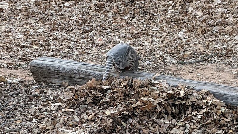 Park Headquarters - Whitney, TX