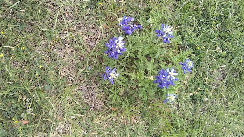 Park Headquarters - Whitney, TX