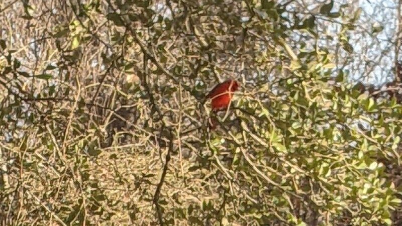 Park Headquarters - Whitney, TX