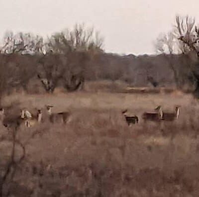 Park Headquarters - Whitney, TX