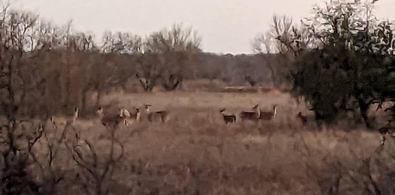 Park Headquarters - Whitney, TX